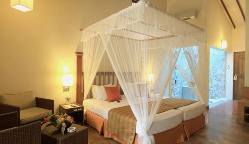 Deluxe Suite - All Meals + Ayurveda Treatment + Yoga, Herbal Garden View