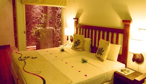 Superior Balcony Room - All Meals + Ayurveda Treatment + Yoga, Herbal Garden View