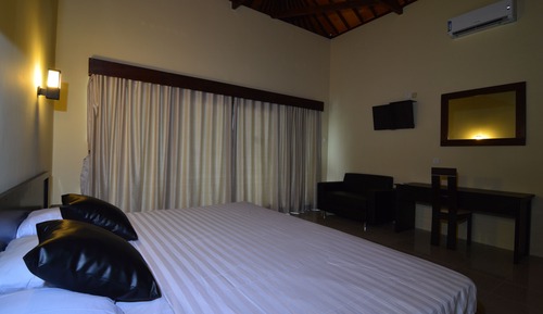 Deluxe Double or Twin Room, Terrace