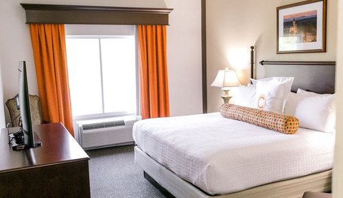 Premier Room, 1 King Bed with Sofa bed