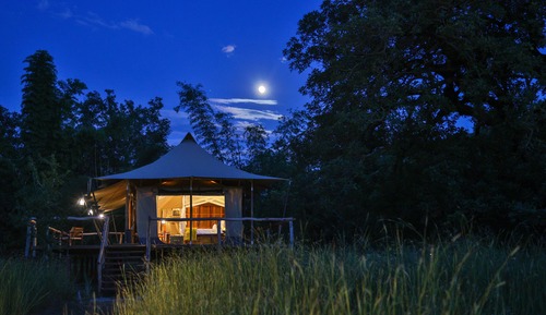 Luxury Tent, Patio (Suite)