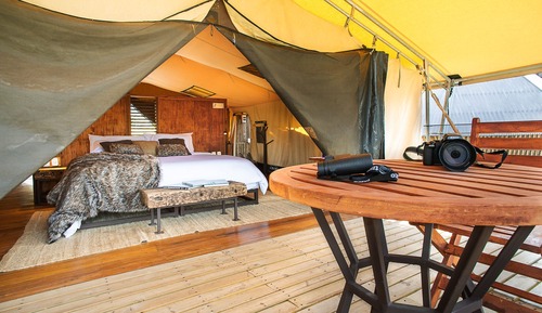 Deluxe Tent, 5 Bedrooms
