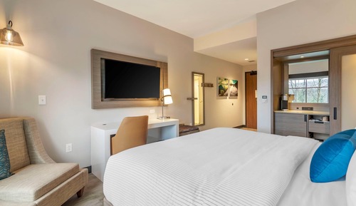 Standard Room, 1 King Bed, Non Smoking