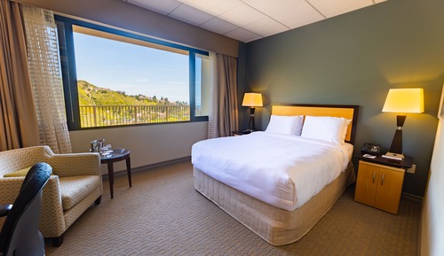 Deluxe Room, 1 Queen Bed