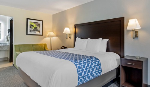 Room, 1 King Bed, Non Smoking