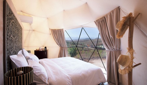 Standard Tent