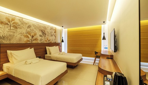 Cozy Twin Room