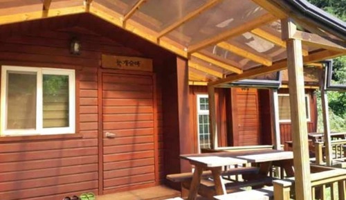 Room (Snow horseback riding)