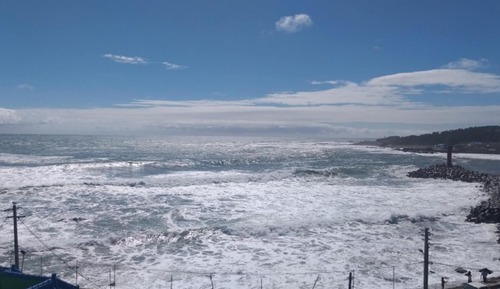 Room (Ocean View 101 (Bedroom) - 240725 Rem)