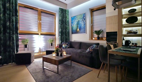 Comfort Apartment, Non Smoking, City View