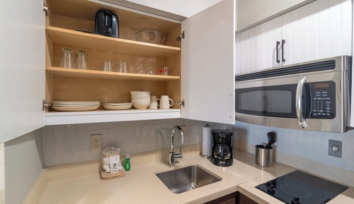 Room, 1 Bedroom, Accessible, Kitchen (Roll-In Shower)