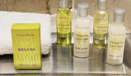 ADA, 1 Bedroom King Suite Plus (Hearing, 3x3 Shower)