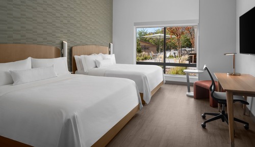 Room, 1 King Bed