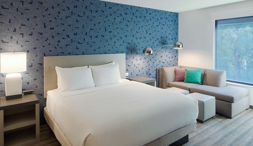 Room, 1 King Bed