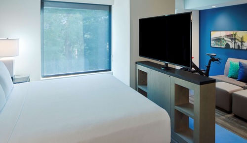 Studio Suite, 1 King Bed with Sofa bed (Bike Fitness Room)