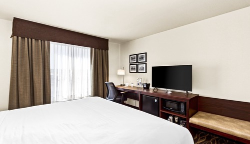 Room, 1 King Bed, Non Smoking