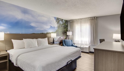Standard Room, 1 King Bed, Non Smoking