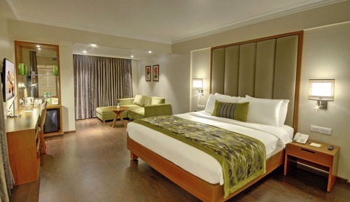 Executive Studio Suite