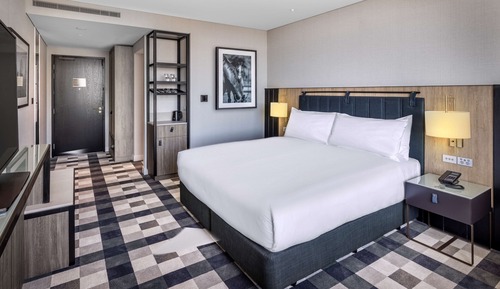 Room, 1 King Bed