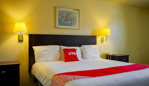 Room, 1 King Bed