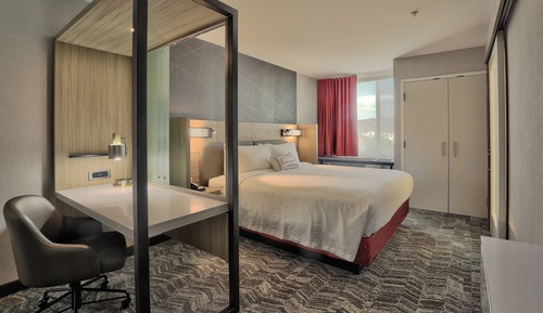 Suite, 1 King Bed, Mountain View