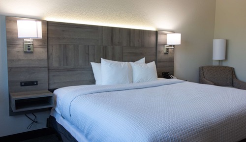 Standard Room, 1 King Bed, Accessible, Kitchenette (Kitchenette )