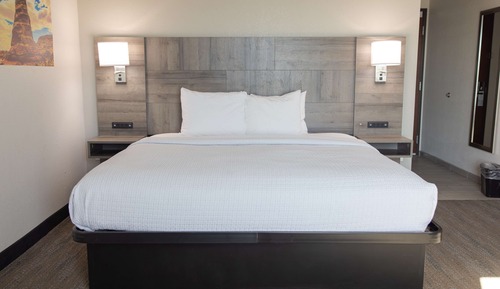 Suite, 1 King Bed, Non Smoking, Kitchenette (with Sofabed)
