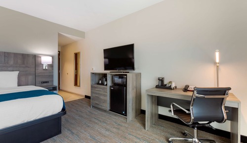 Standard Room, 1 King Bed, Non Smoking, Refrigerator & Microwave (Larger Room)