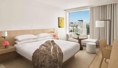 Room, 1 King Bed, City View
