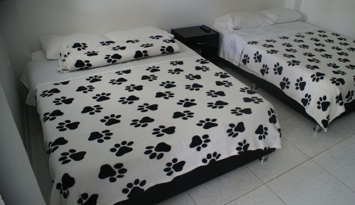 Panoramic Double Room