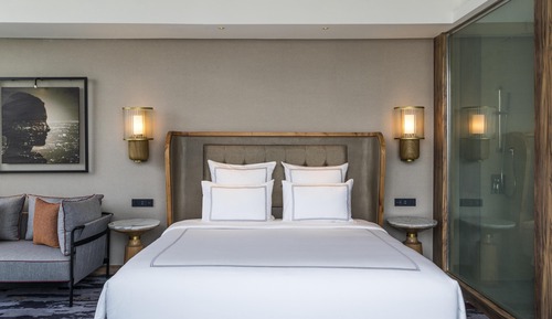 Room, 1 King Bed (Swiss Select)