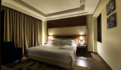 Executive Suite, 1 Queen Bed