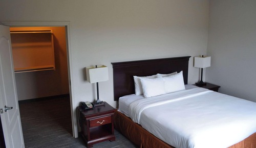 Premium Suite, 1 Bedroom, Non Smoking (1 King Bed with Sofabed)