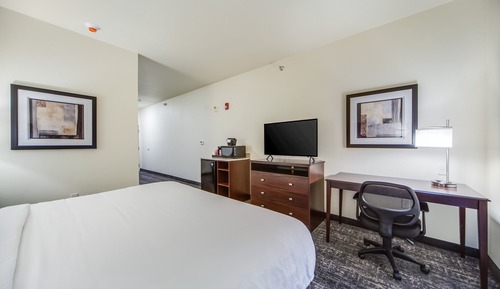 Studio Suite, 1 King Bed with Sofa bed, Accessible, Non Smoking (Audible/Visual)