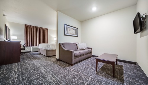 Studio Suite, 1 King Bed with Sofa bed, Non Smoking (Audible/Visual)