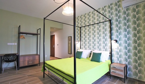 Deluxe Plus Room