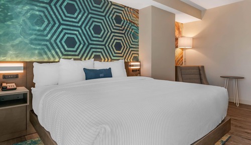 Room, 1 King Bed, Accessible, Non Smoking