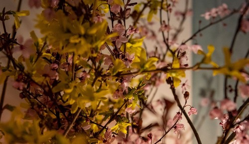 Apartment, Private Bathroom (Le Patio)