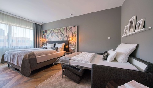 Comfort Room, 1 Double Bed with Sofa bed