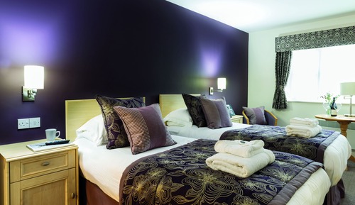 Superior Twin Room