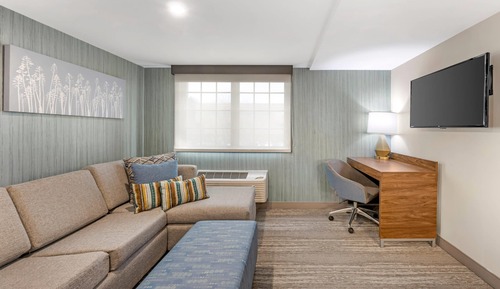 Suite, 1 King Bed, Non Smoking (Efficiency, Upgrade)