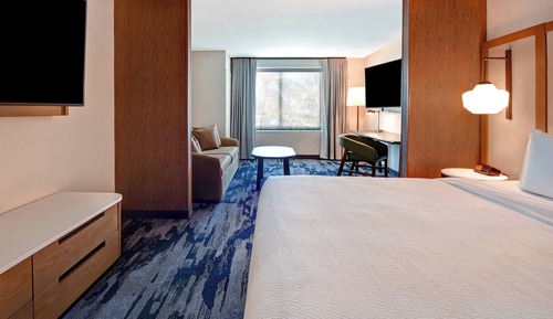Suite, 1 King Bed with Sofa bed