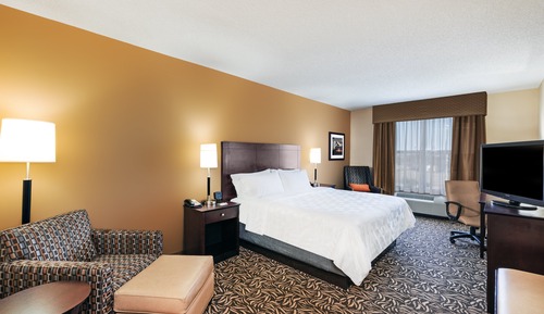Standard Room, 1 King Bed, Accessible (Communications, Mobility)