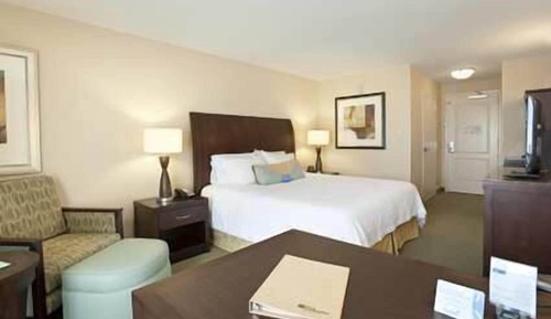 Room, 1 King Bed