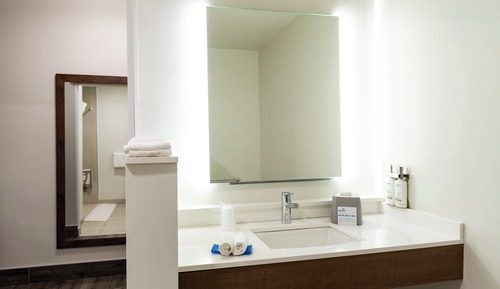 Room, 1 King Bed, Roll-in Shower (Mobility, Roll-In Shower)