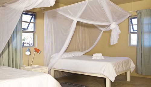 Standard Double or Twin Room, Multiple Beds