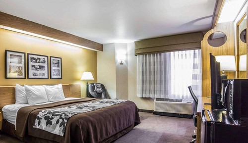 Standard Room, 1 King Bed, Non Smoking