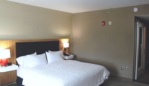 Room, 1 King Bed, Accessible (Roll-In Shower)