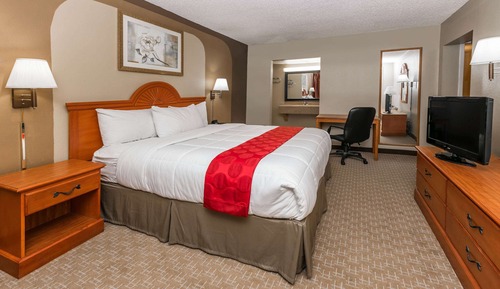 Suite, 1 Bedroom, Non Smoking