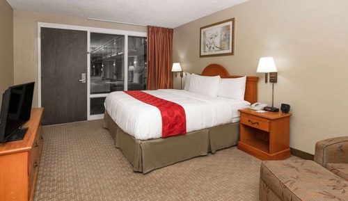 Room, 1 King Bed, Accessible, Non Smoking (Tub with Grab Bars)
